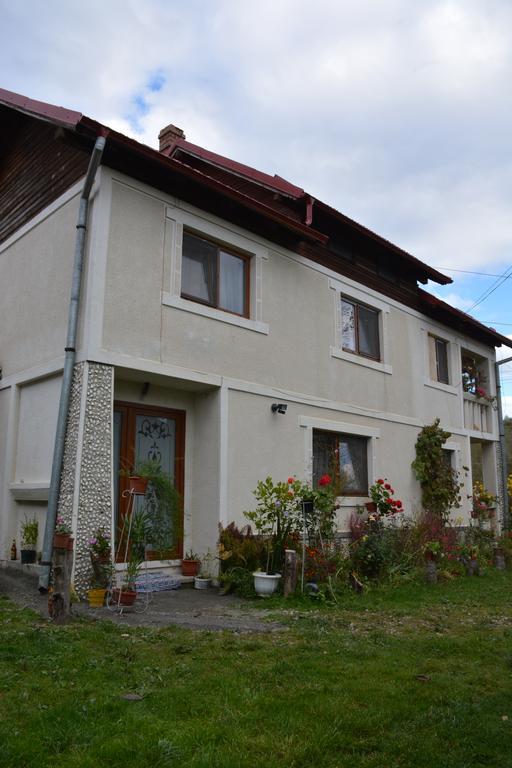 Pensiunea Margareta Sita Buzăului Esterno foto