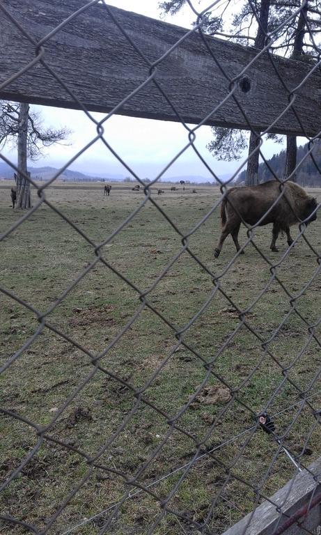 Pensiunea Margareta Sita Buzăului Esterno foto