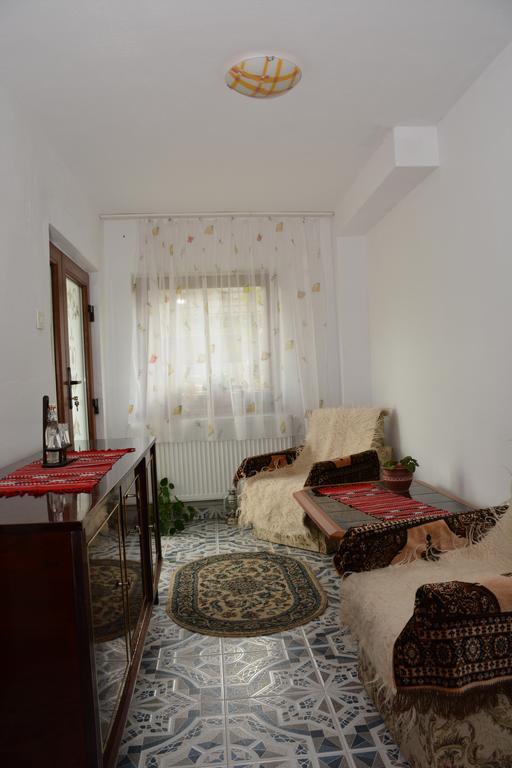Pensiunea Margareta Sita Buzăului Esterno foto
